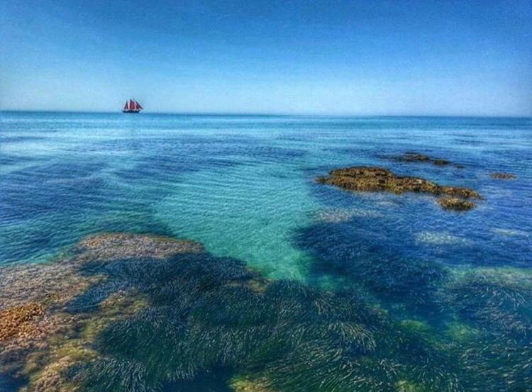 Апартаменти “Ad Un Passo Dal Mare” Реальмонте Екстер'єр фото